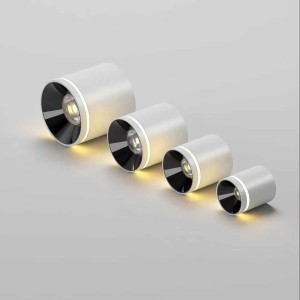 01-Zhongshan Temeixi Lighting Technology Co., Ltd